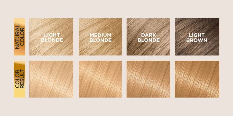 Inarticle Brown To Blonde Hair 02